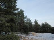 Гладківка з panoramio.com