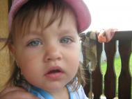 Кошари з panoramio.com