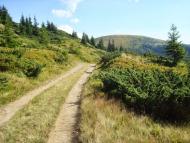 Тростянець з panoramio.com (ч.2)