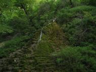 Олексіївка - Останні фото