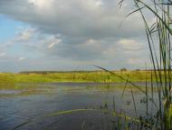 Чернеччина з panoramio.com