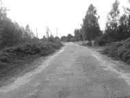 Кримне з panoramio.com