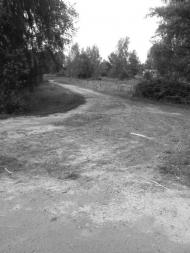 Кримне з panoramio.com