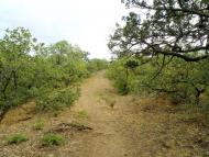 Рибаче з panoramio.com (ч.2)