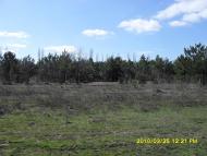 Інгулка з panoramio.com