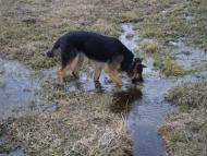 Знам'янка Друга - Останні фото