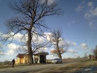 Бабин-Зарічний з panoramio.com