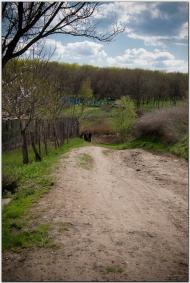 Артемівськ з panoramio.com (ч.2)