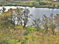 Таловая Балка - Последние фото