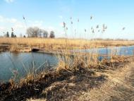 Черкаси з panoramio.com