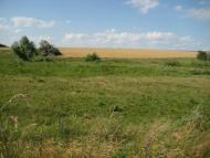 Інгулка з panoramio.com