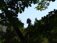 Вереміївка з panoramio.com