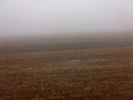 Бурдовка - Последние фото