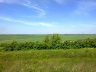 Стриївка - Останні фото