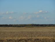 Борзна з panoramio.com