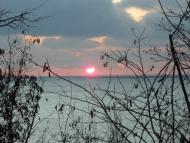 Новоазовськ - Останні фото