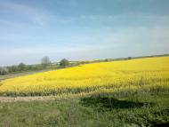 Нові Бірчиці з panoramio.com