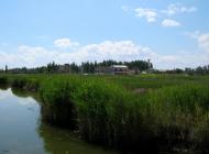 Щасливцеве з panoramio.com (ч.2)