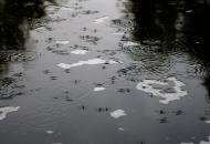 Вільне з panoramio.com