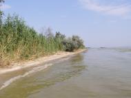 Лупареве з panoramio.com