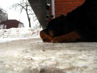 Фастів з panoramio.com (ч.2)