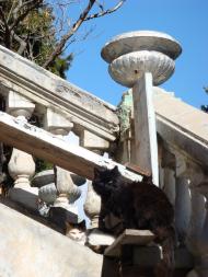 Сімеїз з panoramio.com (ч.2)