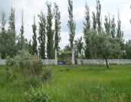 Щасливцеве з panoramio.com (ч.2)