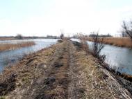 Гонятичі - Останні фото