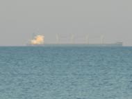 Коблеве з panoramio.com