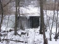 Буки з panoramio.com