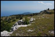 Виноградне з panoramio.com