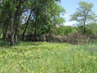 Дзержинськ з panoramio.com