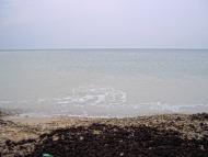 Молочне з panoramio.com