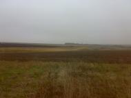 Бурдовка - Последние фото