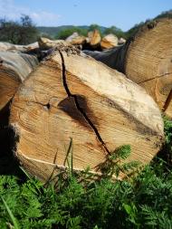 Завосина з panoramio.com (ч.2)