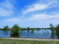 Неданчичі з panoramio.com