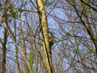 Цюрупинськ з panoramio.com (ч.2)