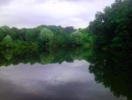 Воскресенівка з panoramio.com