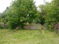 Бориси з panoramio.com