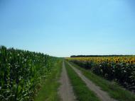 Озерна з panoramio.com