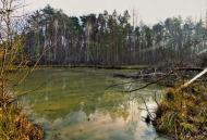 Перлявка з panoramio.com