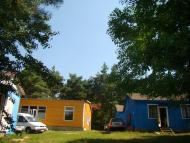 Степашки - Останні фото