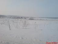 Миролюбівка з panoramio.com