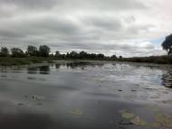 Суслівка з panoramio.com