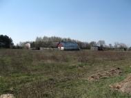 Лісівщина з panoramio.com