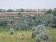 Інгулка з panoramio.com