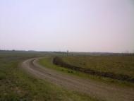 Шевченка - Останні фото