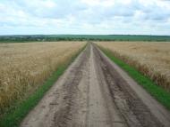 Побузьке з panoramio.com