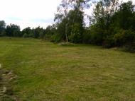Бориси з panoramio.com