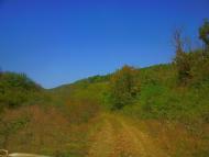 Синапне з panoramio.com